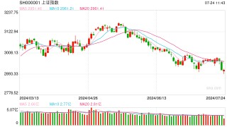 视频|李大霄：出现反攻