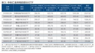 汇金万亿投资图谱：国家队的使命