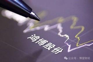 鸿博股份前老板巨额套现离场，17亿“接盘”股民怎么办？