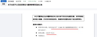 连亏两年再预亏，深圳新星折价“割肉自救”、拟剥离部分六氟磷酸锂项目资产