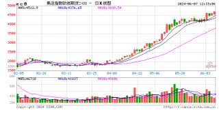 集运指数（欧线）主力合约再创新高 报4699点