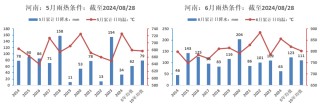 【市场聚焦】花生：迎接新产季