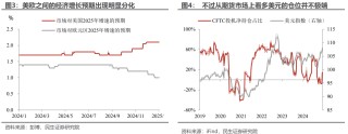 谁来给美元“史诗级上涨”降降温？