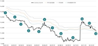 新湖能源（工业硅）2025年报：江潭落月复西斜