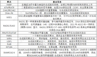 创新药企无奈上小红书融资背后：“合成致死”赛道“又火又卷”  但多个单靶点此前频频爆雷