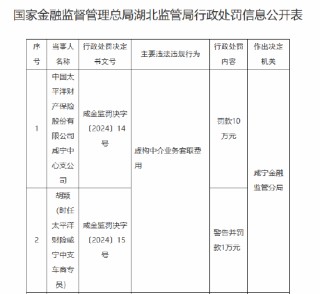 太保产险咸宁中心支公司被罚10万元：因虚构中介业务套取费用