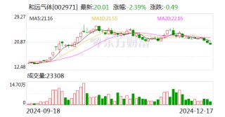 和远气体2024年中期利润分配方案：拟10派1元