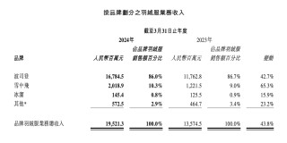 波司登营收超232亿元：品牌羽绒服毛利率下降，加码防晒服能否见效？