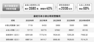 小贷行业深度洗牌，9年近3600家公司退场