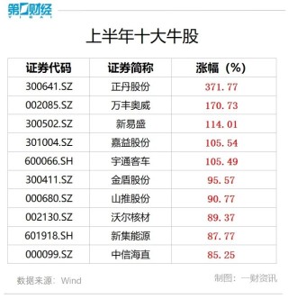 2024年上半年十大牛股出炉！7月这些金股获券商力挺