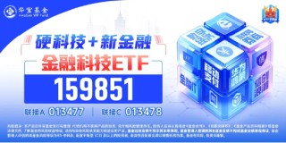 DeepSeek引爆AI应用！金融科技再度走强，税友股份冲击涨停，金融科技ETF（159851）盘中涨近4%