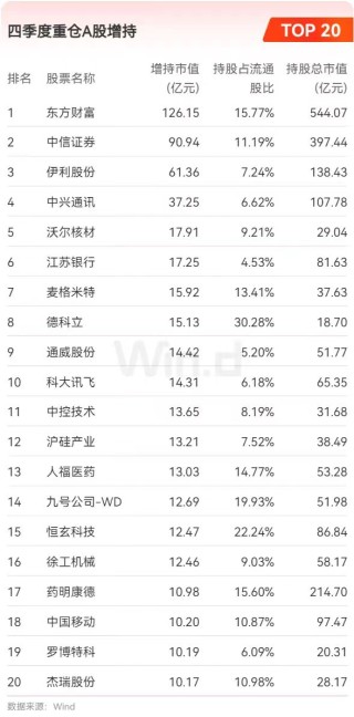 公募基金2024年四季度重仓股全扫描：宁德时代跃居第一大重仓股，寒武纪-U、中芯国际等半导体行业个股被减持