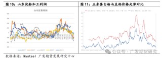 玉米淀粉行业变化及影响分析