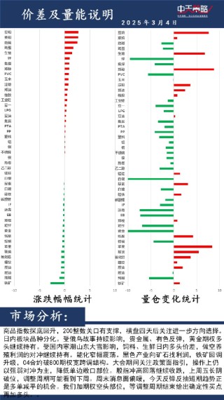 中天策略:3月4日市场分析