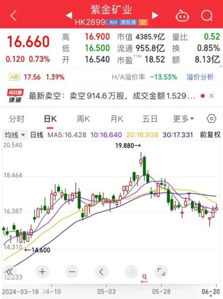 举债“回血”，紫金矿业再融资25亿美元