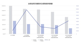 2024年全球自然灾害保险损失1400亿美元，创历史第三高