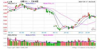 光大期货：10月17日软商品日报