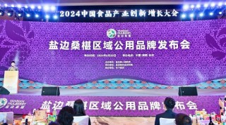 盐边桑椹品牌战略发布：中国果桑，滋养世界！