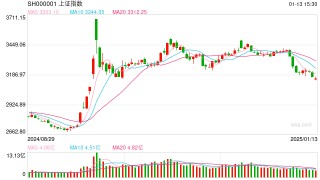 杨德龙：引导中长期资金入市 支持资本市场平稳健康发展