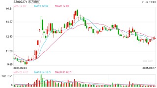 东方雨虹：预计2024年净利润同比下降95.66%—93.51%
