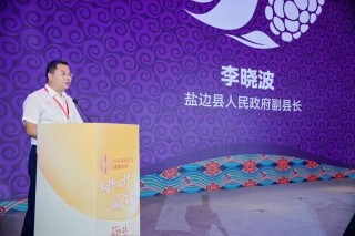 盐边桑椹品牌战略发布：中国果桑，滋养世界！