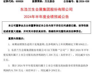 兰生股份2024年上半年预计净利7500万 公司持有的金融资产公允价值变动收益同比减少