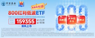 沪指三连阳！金融科技ETF（159851）爆量收涨，800红利低波ETF首秀开门红！563500收盘价蝉联沪市同类第一