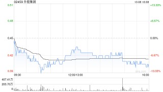 升能集团公布完成配售8000万股