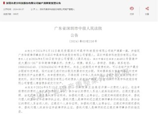 昔日超500亿“独角兽”破产清算获受理！刘姝威发声：华为曾提出投资被拒，创始人是科学家不是企业家