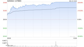 正丹股份午后触及涨停 拟投资3.5亿元扩产TMA