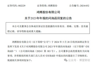 鸿博股份前老板巨额套现离场，17亿“接盘”股民怎么办？