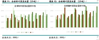 新湖农产（纸浆）2025年报：终端累库 上方受限