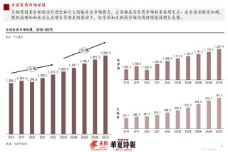 头豹研究院医疗行业资深分析师荆婧：医药企业承压前行