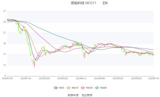 双枪科技：预计2024年上半年盈利1300万元-1600万元 同比扭亏