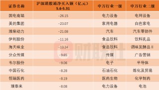 综述[汇金财富]囊括跨境电商和液冷服务器概念股！北向资金5月大比例增仓个股名单一览