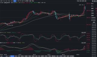 国际金价再创新高！业内：美股低开、避险资金流入，多头拥挤导致国际金价短线上涨