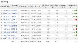 龙年压岁钱买基金，能赚94%