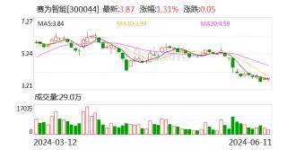 赛为智能：延期至2024年6月19日前回复《年报问询函》