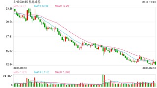 弘元绿能亏损超预期全产业链布局受质疑 470亿激进扩张风险向供应商和定增股东转嫁