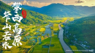 盐边桑椹品牌战略发布：中国果桑，滋养世界！
