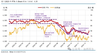 【PTA年报】等风来——PTA2025年年度策略报告