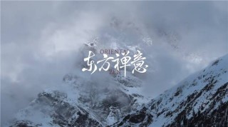 灵汐时代DTC案例 | 2年5个亿，稀物集“根植中国”的差异化升维战