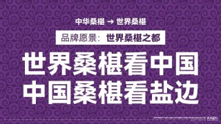 盐边桑椹品牌战略发布：中国果桑，滋养世界！