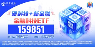 市场最强音？！金融科技大面积涨停，金融科技ETF（159851）斩获三连板，龙头近10日暴涨超354%！