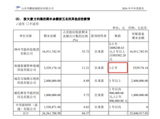 山东华鹏迎来至暗时刻：持续巨亏后净资产不足1亿 7.86亿债务逾期后 银行账户仅剩2万元又全被司法冻结
