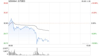 人气股正丹股份跳水一度逼近跌停 此前成今年A股首只涨幅10倍股