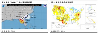 飓风“Debby”即将登陆美湾 美豆期货将进一步企稳