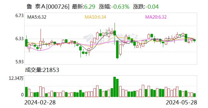 鲁泰Ａ：张守刚辞任公司第十届监事会监事及监事会主席职务-第1张图片
