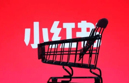 日记:億策略小红书，丢了带货“一姐”？-第1张图片