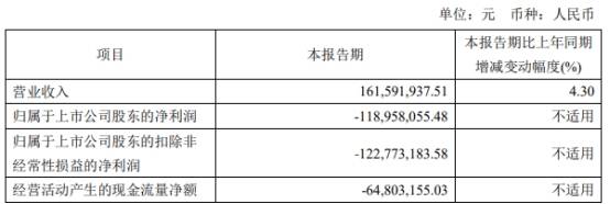 破发股百奥泰董事长一致行动人拟减持 近2年1期亏损-第4张图片